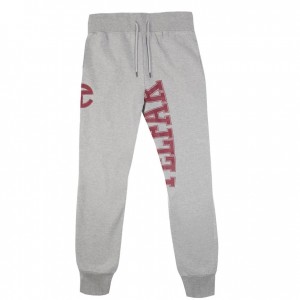 Spodnie Dresowe Telfar Sweatpants Logo Szare | PLHK3333