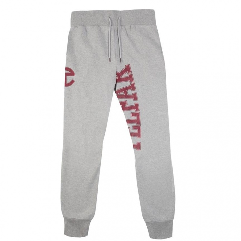 Spodnie Dresowe Telfar Sweatpants Logo Szare | PLHK3333